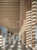 Damien FRAULOB - DAMIEN FRAULOB